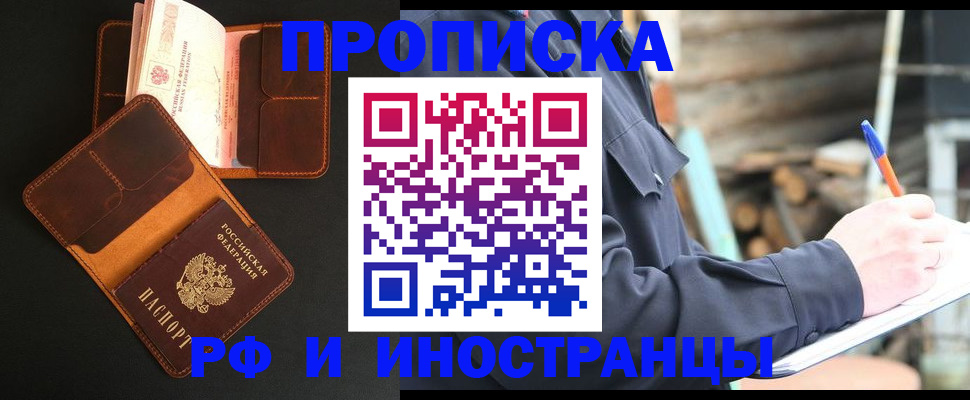 прописка 2025 в Камышине